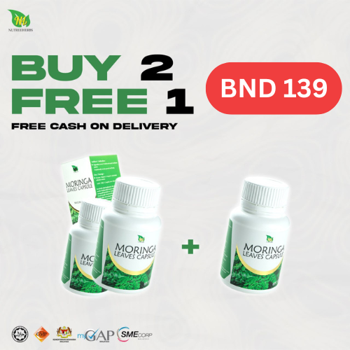 2 BOTOL MORINGA